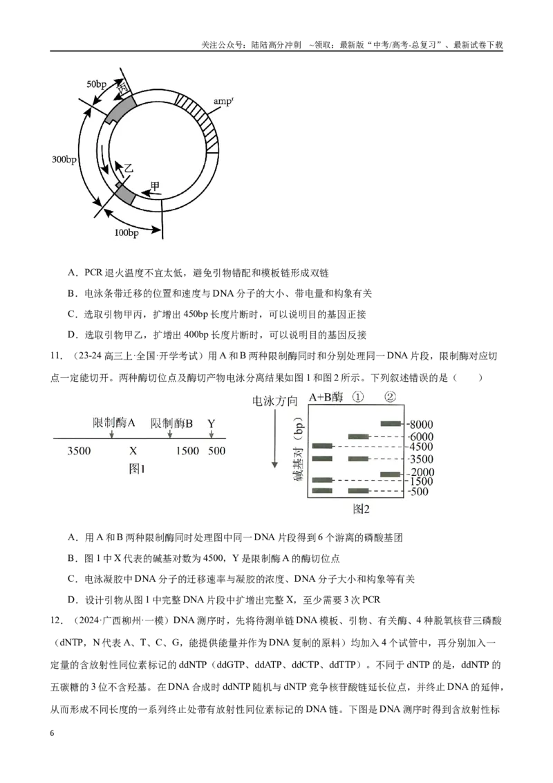 《专题14基因工程（原卷版）_06-生物-高考总复习_专项复习_2024年_2024年高考生物重难压轴题型考前终极押题_资料》第6页预览