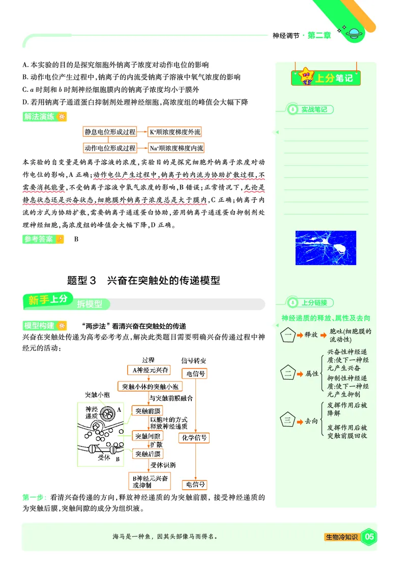《上分手册生物选择性必修1RJ金考卷单元双测卷_2024天星高中单元双测卷上分手册》第5页预览