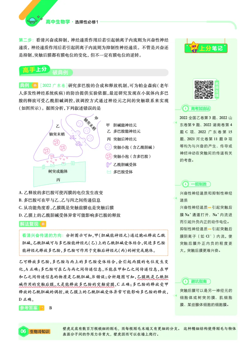 《上分手册生物选择性必修1RJ金考卷单元双测卷_2024天星高中单元双测卷上分手册》第6页预览