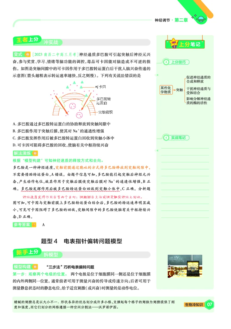 《上分手册生物选择性必修1RJ金考卷单元双测卷_2024天星高中单元双测卷上分手册》第7页预览