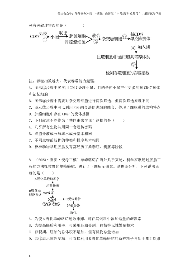 《专题17动物细胞工程和胚胎工程（原卷版）_06-生物-高考总复习_一轮复习_2024年_2024年高考生物一轮复习重难点突破讲解与训练专题_资料》第4页预览
