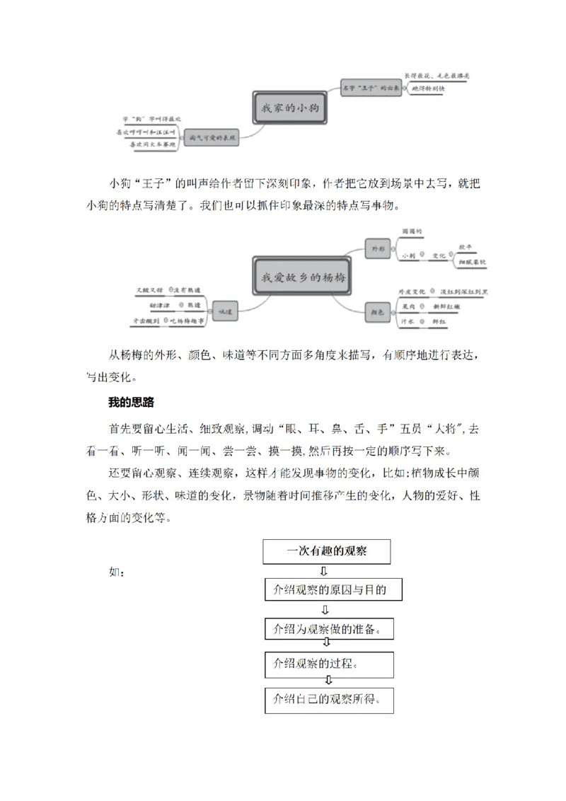 《三（上）语文同步作文（第1套）-第5单元：我们眼中的缤纷世界（写作指导+范文赏析+病文升格）_小学1-6年级全科全套_1-6年级全科上册_三年级_语文_语文三上单元习作》第3页预览