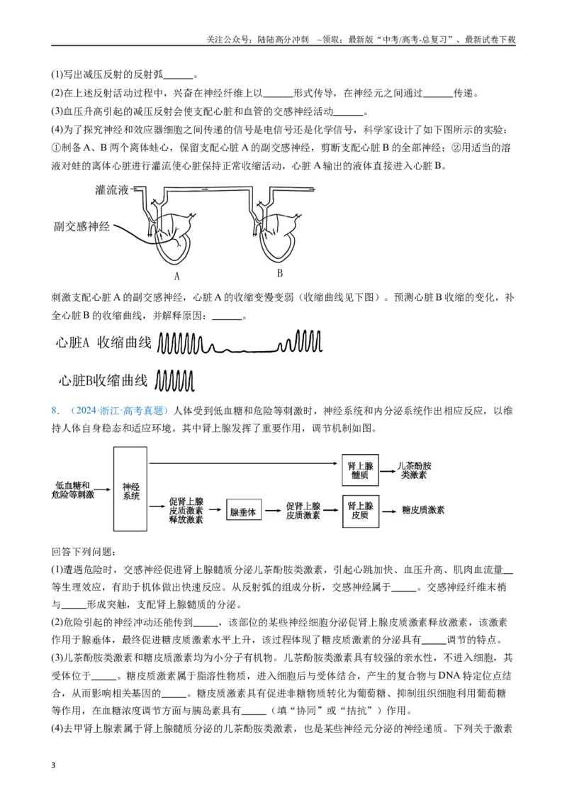 《专题14神经调节（原卷版）_06-生物-高考总复习_专项复习_2024年_2024年高考生物真题分类汇编（全国通用）》第3页预览