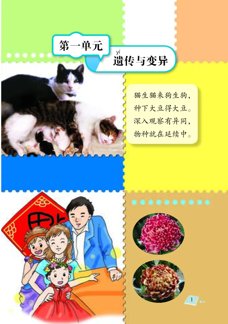 《湘科版科学教材六下_小学1-6年级全科全套_2025更新专题（含教材）_寒假预复习必备资料2024新版小学教材电子版_小学科学_湘科版（无水印）》第9页预览