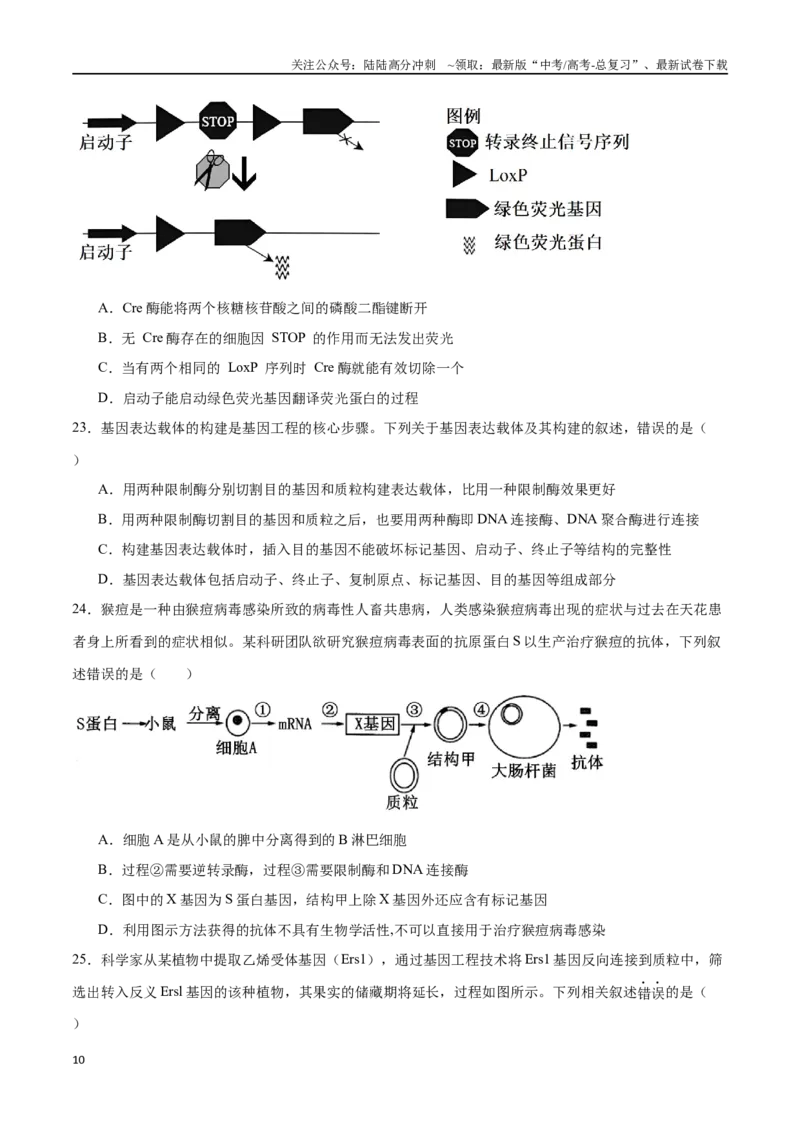《专题15基因工程（选择题60道）（原卷版）_06-生物-高考总复习_二轮复习_2024年_2024年高考生物二轮复习选择题大题压轴专项训练_资料》第10页预览