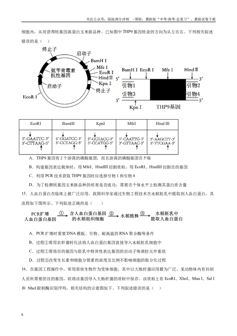 《专题15基因工程（选择题60道）（原卷版）_06-生物-高考总复习_二轮复习_2024年_2024年高考生物二轮复习选择题大题压轴专项训练_资料》第6页预览