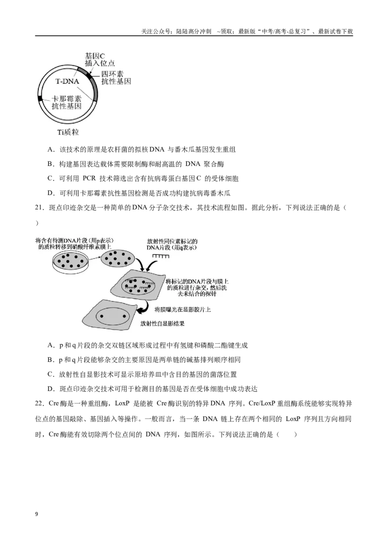 《专题15基因工程（选择题60道）（原卷版）_06-生物-高考总复习_二轮复习_2024年_2024年高考生物二轮复习选择题大题压轴专项训练_资料》第9页预览