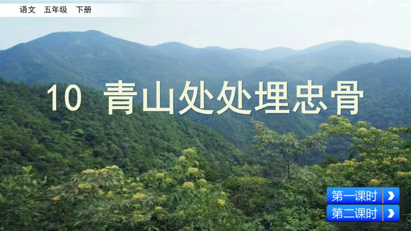 《学部编版语文五年级下册-青山处处埋忠骨课件_小学1-6年级全科全套_1-6年级全科下册_五年级_五年级下语文_语文五下综合资料小学五年级语文下册_3-10-2-3、课件、讲义、教案》第3页预览