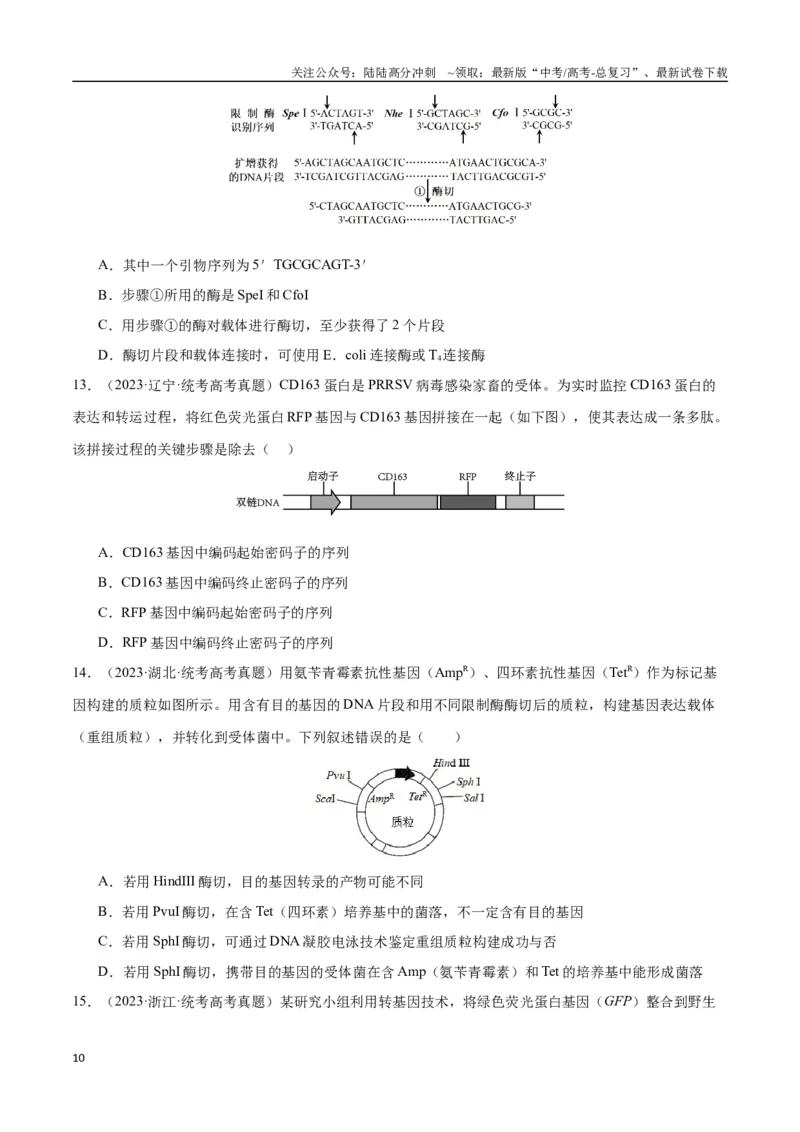 《专题15基因工程(学生版)_06-生物-高考总复习_专项复习_2024年_2024年高考生物总复习核心题型解读与全攻略新教材_资料》第10页预览