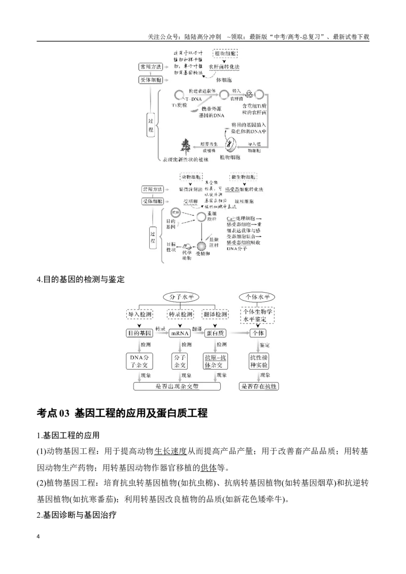 《专题15基因工程(学生版)_06-生物-高考总复习_专项复习_2024年_2024年高考生物总复习核心题型解读与全攻略新教材_资料》第4页预览