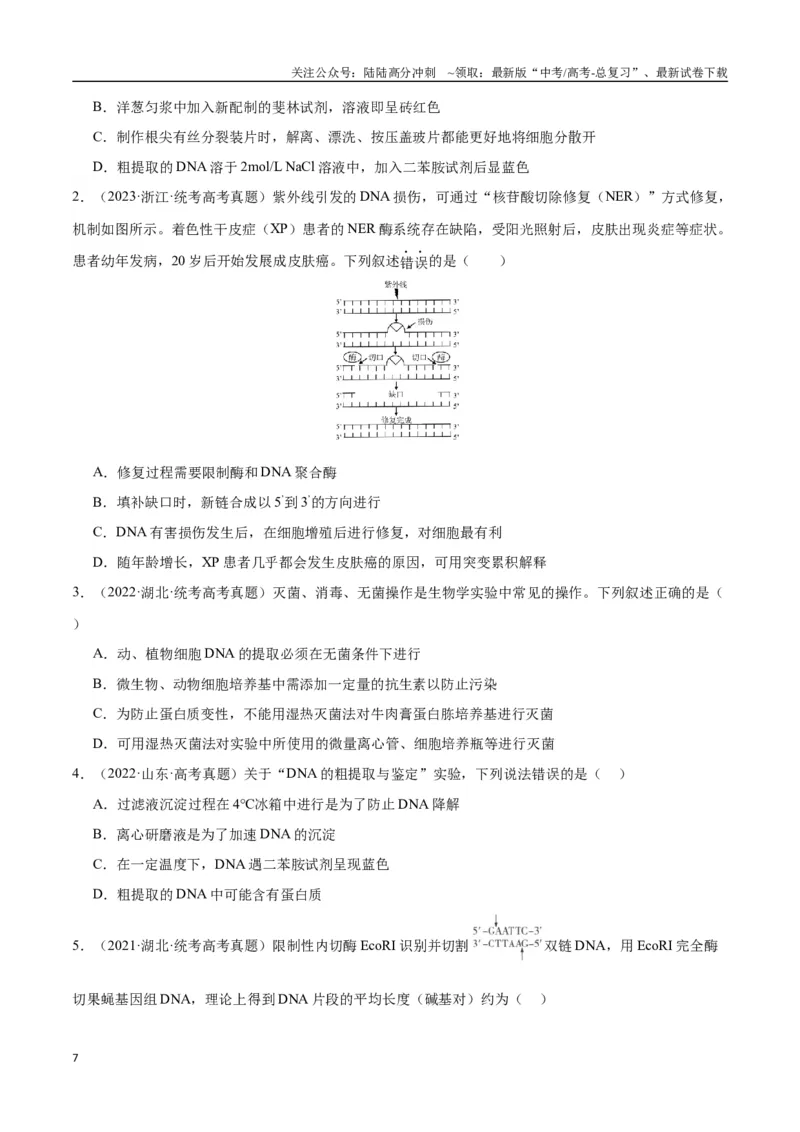 《专题15基因工程(学生版)_06-生物-高考总复习_专项复习_2024年_2024年高考生物总复习核心题型解读与全攻略新教材_资料》第7页预览