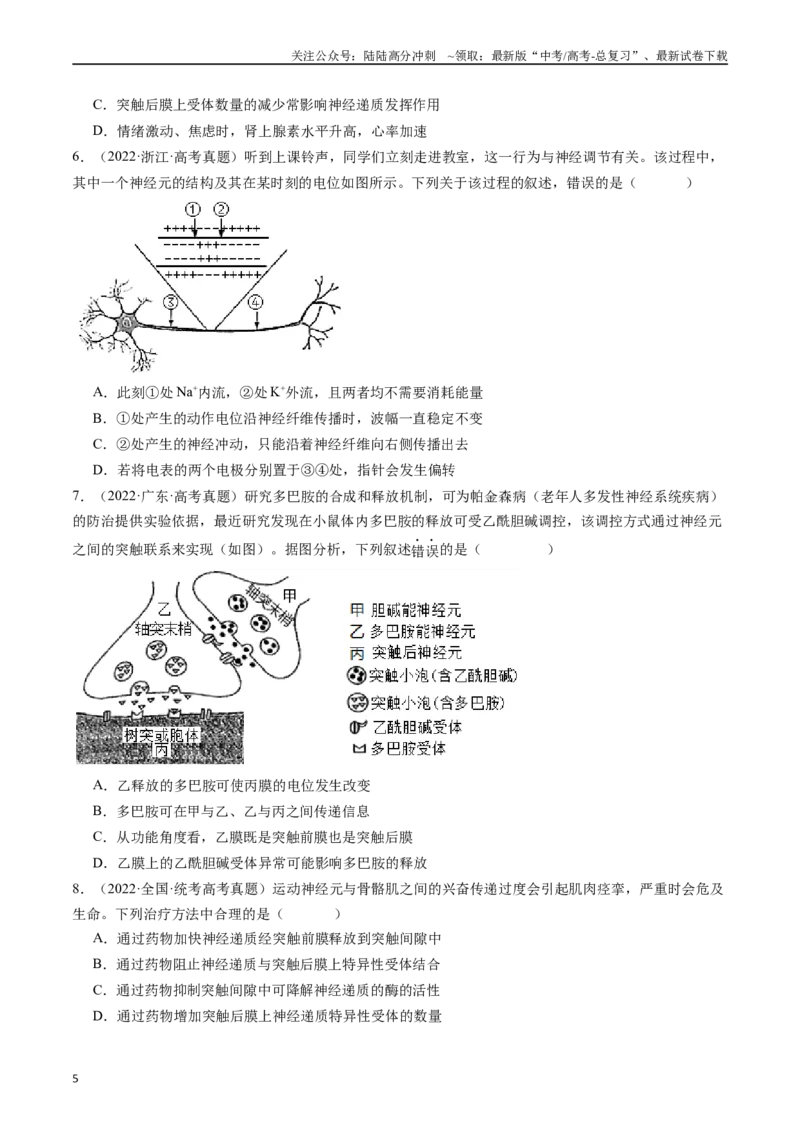 《专题17神经调节（原卷版）_06-生物-高考总复习_专项复习_2024年_2024年新高考生物复习热点考点真题模拟题必刷题练_资料》第5页预览