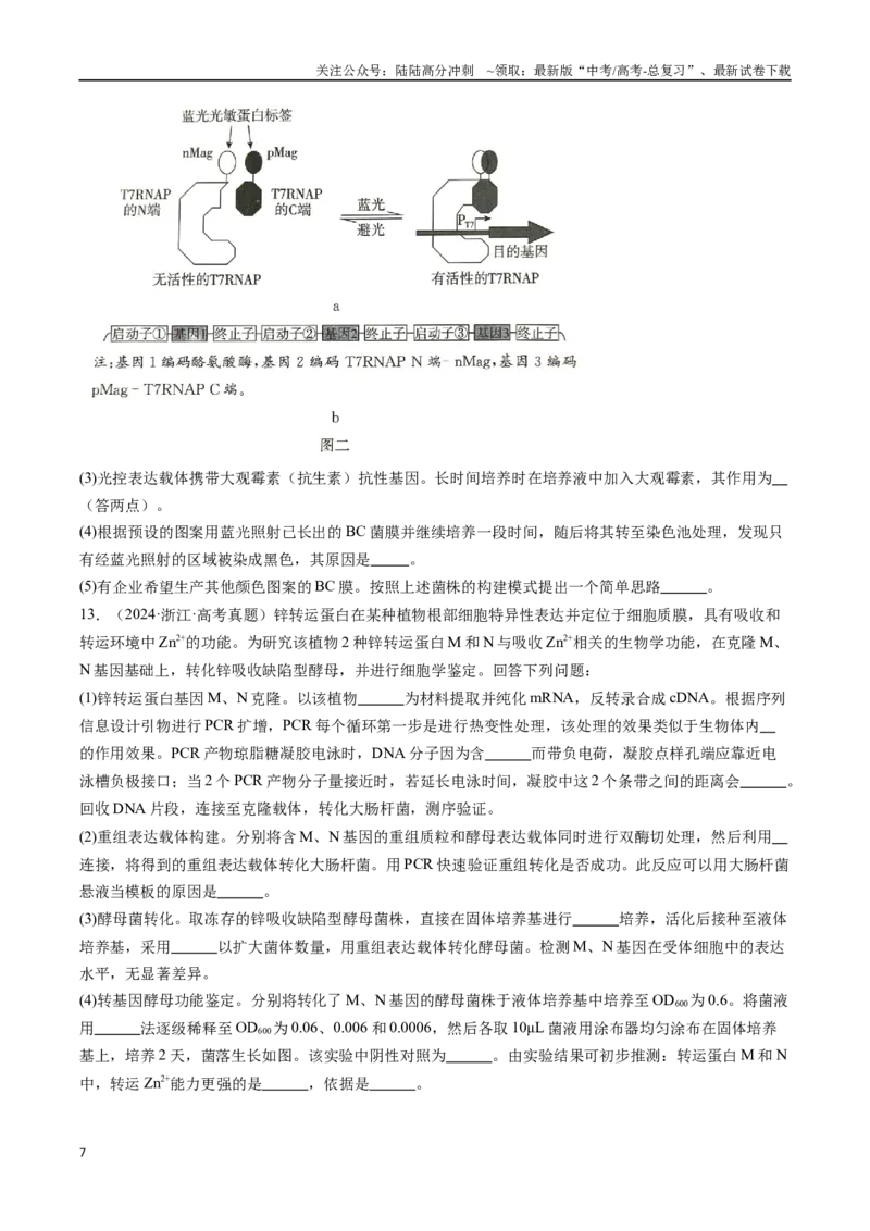 《专题23发酵工程-（全国通用）（原卷版）_06-生物-高考总复习_专项复习_2025年_十年（2015-2024）高考生物真题分类汇编（全国通用）》第7页预览