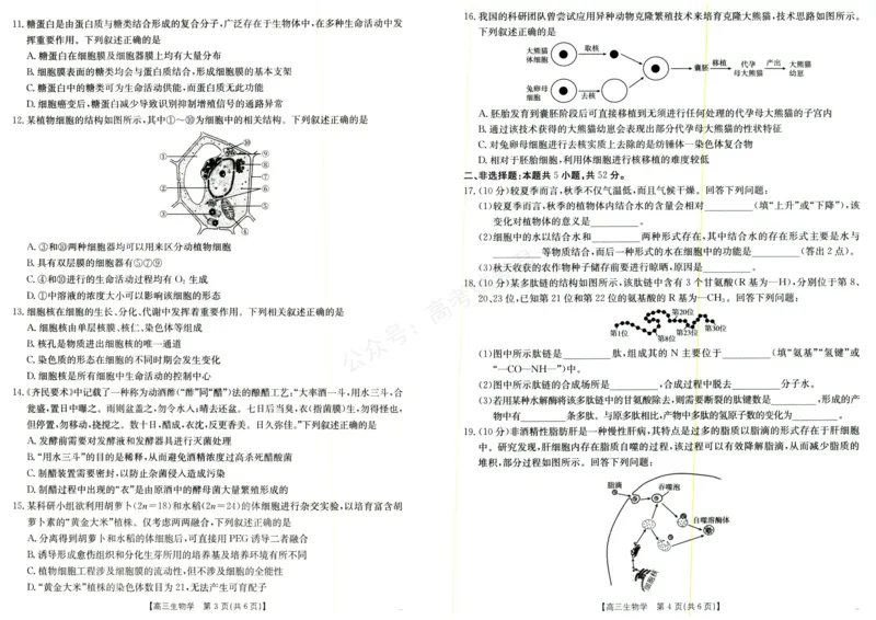 《生物试题_小初高学习资料合集（每天更新）_陕西金太阳9月联考2026届陕西金太阳高三9月联考（15C）全科_06生物_陕西金太阳高三9月联考（15C）》第2页预览