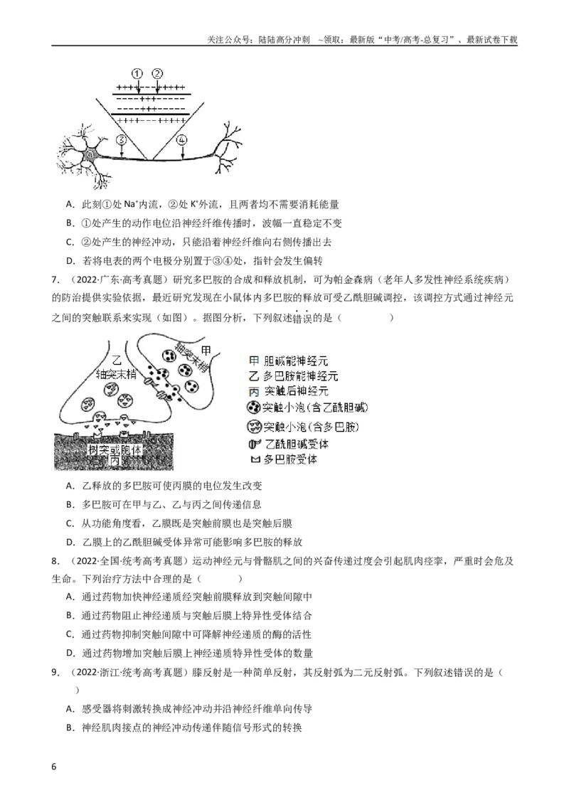 《专题17神经调节（学生版）_06-生物-高考总复习_专项复习_2024年_十年（2014-2023）高考生物真题分项汇编（全国通用）》第6页预览