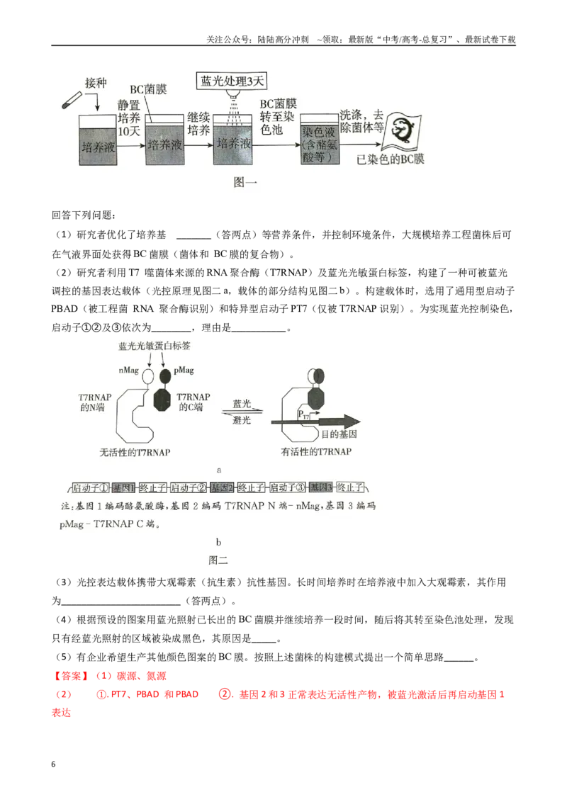 《专题18基因工程（解析版）_06-生物-高考总复习_专项复习_2024年_2024年高考真题和模拟题分项汇编生物分类汇编（全国通用）》第6页预览