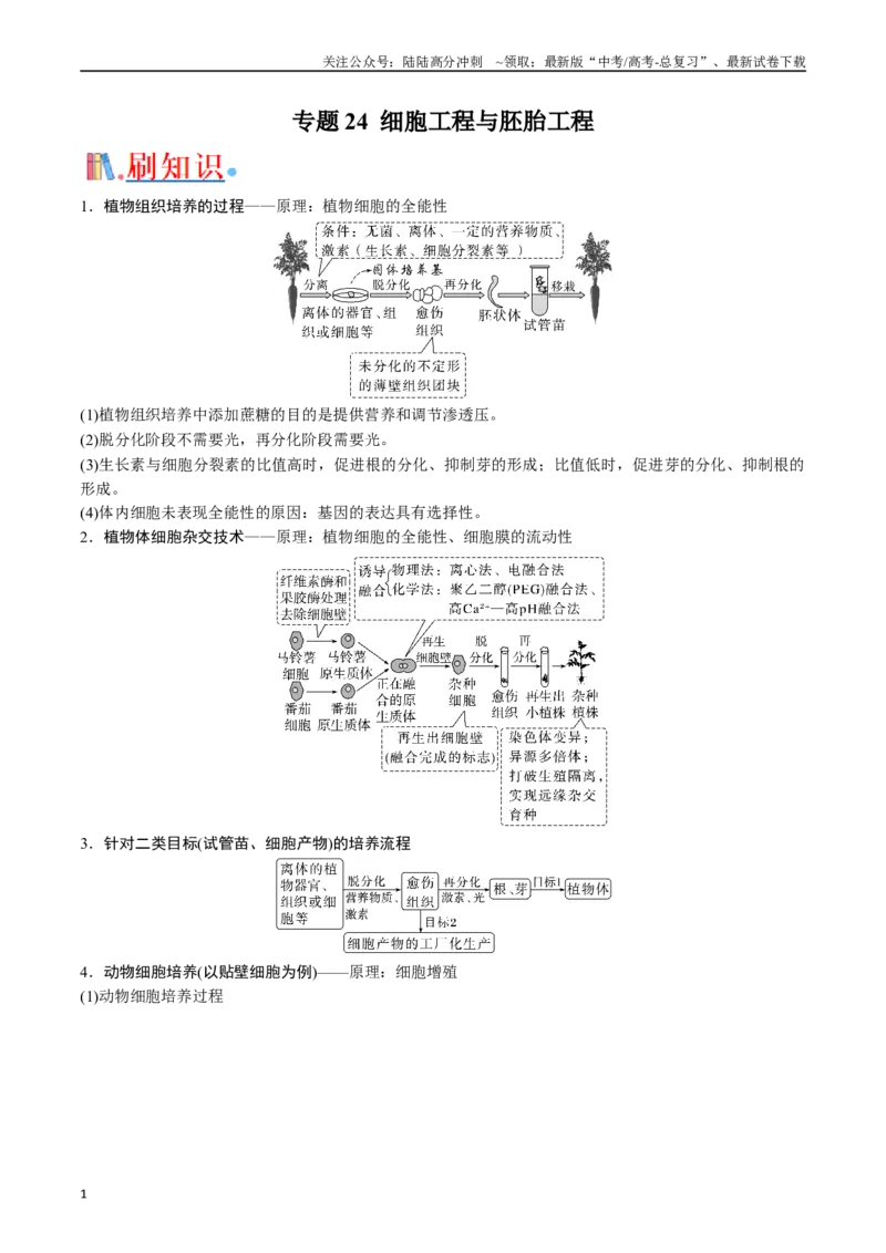 《专题24细胞工程与胚胎工程（解析版）_06-生物-高考总复习_专项复习_2024年_2024年高考生物经典小题必刷_资料》第1页预览