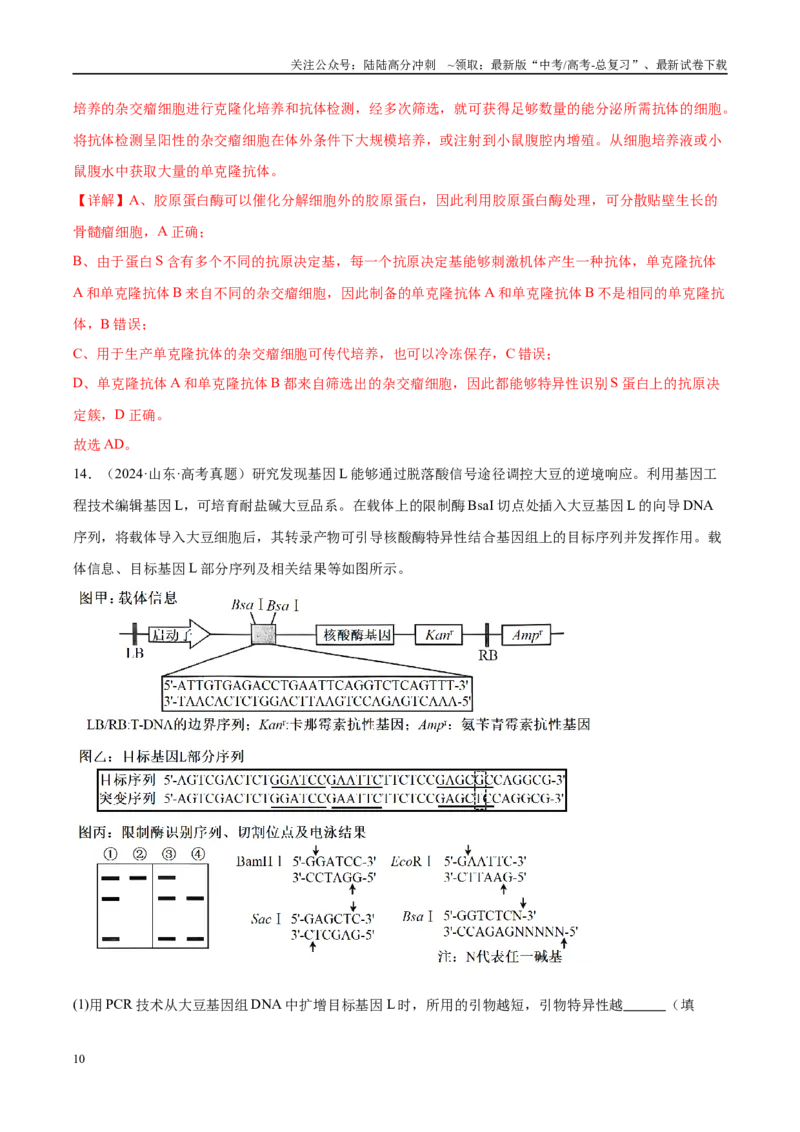 《专题19生物技术与工程（教师版）_06-生物-高考总复习_一轮复习_2025年_2025年高考生物一轮复习考点精讲精练（新高考通用）》第10页预览