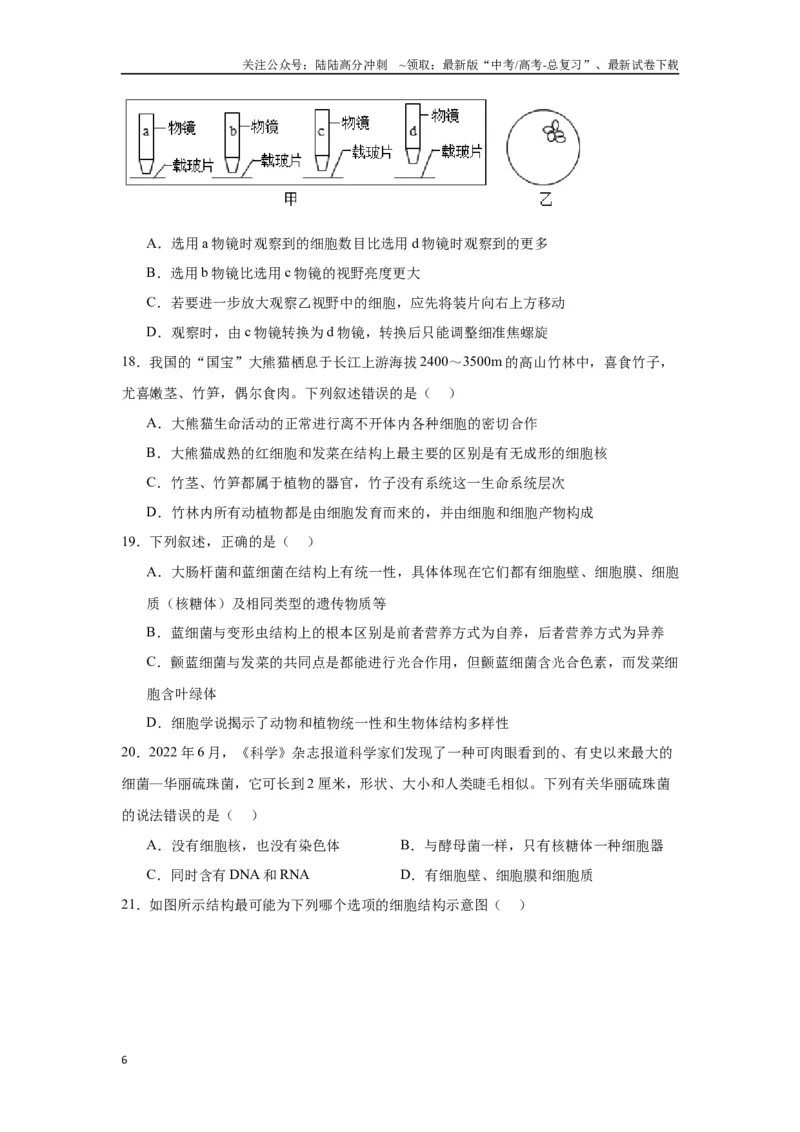 《专题1走近细胞（原卷版)_06-生物-高考总复习_一轮复习_2024年_2024年高考生物一轮复习重难点专项突破_资料》第6页预览