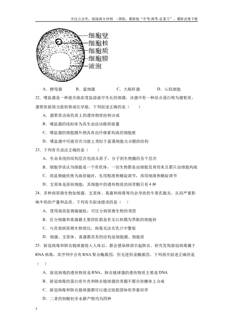 《专题1走近细胞（原卷版)_06-生物-高考总复习_一轮复习_2024年_2024年高考生物一轮复习重难点专项突破_资料》第7页预览