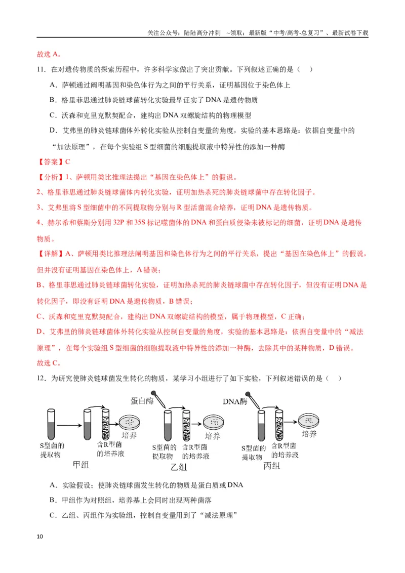 《专题20DNA是主要的遗传物质（解析版)_06-生物-高考总复习_一轮复习_2024年_2024年高考生物一轮复习重难点专项突破_资料》第10页预览