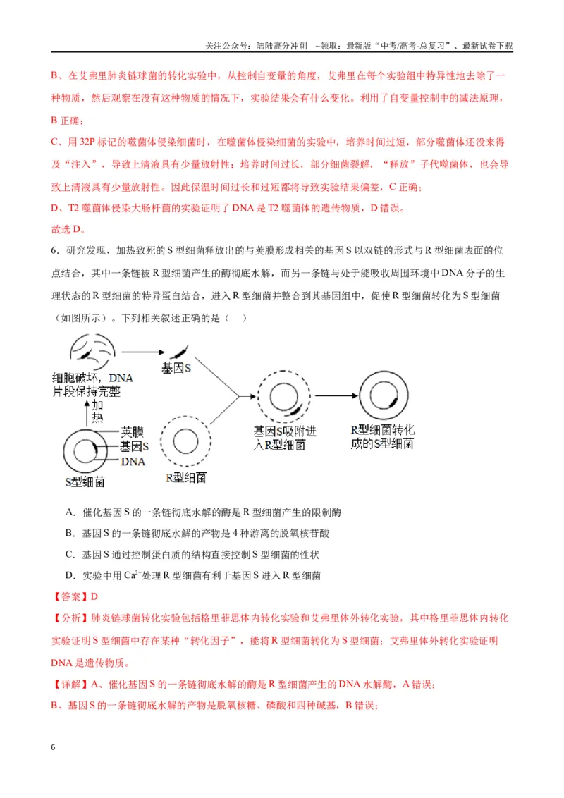 《专题20DNA是主要的遗传物质（解析版)_06-生物-高考总复习_一轮复习_2024年_2024年高考生物一轮复习重难点专项突破_资料》第6页预览