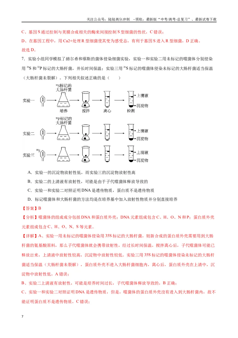 《专题20DNA是主要的遗传物质（解析版)_06-生物-高考总复习_一轮复习_2024年_2024年高考生物一轮复习重难点专项突破_资料》第7页预览