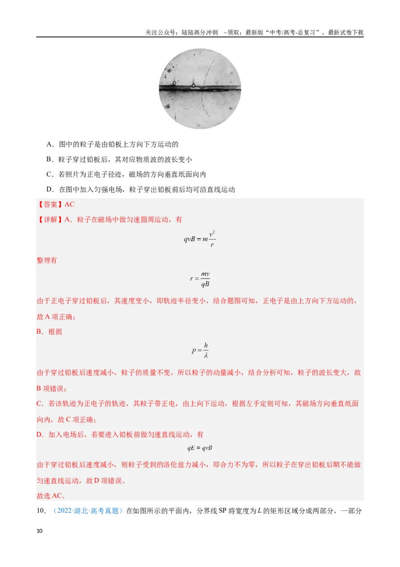 《专题18安培力与洛伦兹力（解析版）_04-物理-高考总复习_专项复习_2024年_2024年高考物理自我测评专题练（全国通用）_资料》第10页预览
