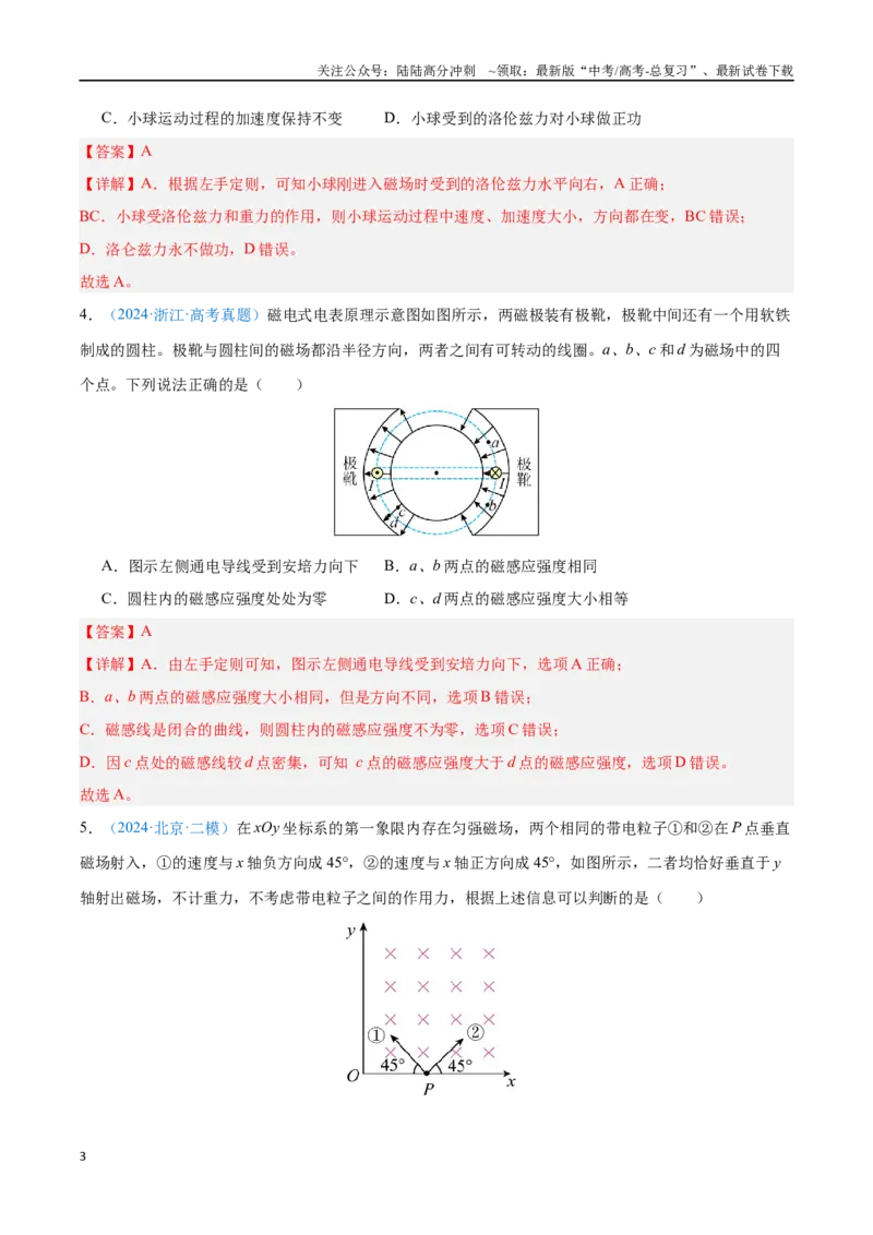 《专题18安培力与洛伦兹力（解析版）_04-物理-高考总复习_专项复习_2024年_2024年高考物理自我测评专题练（全国通用）_资料》第3页预览