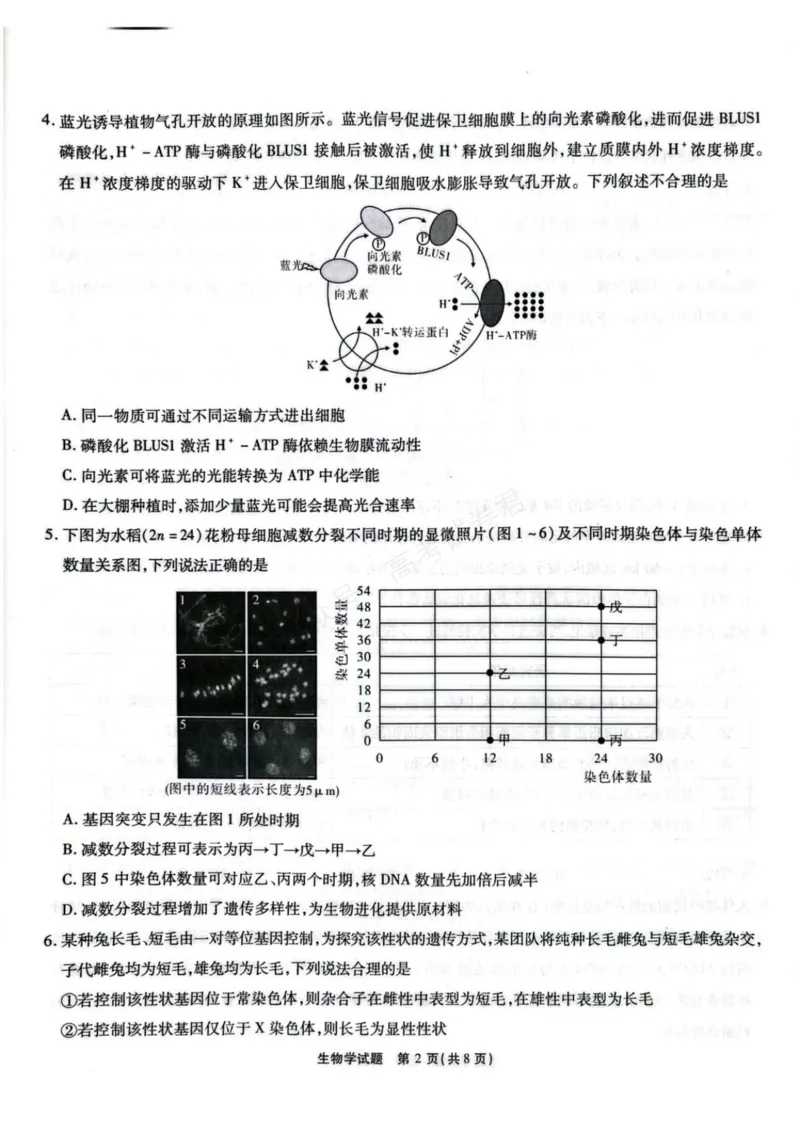 《安徽省六校教育研究会2026届高三年级入学素质测试+生物试卷（含答案）_副本_小初高学习资料合集（每天更新）_安徽入学测2026届安徽省六校教育研究会高三入学素质测试全科》第2页预览