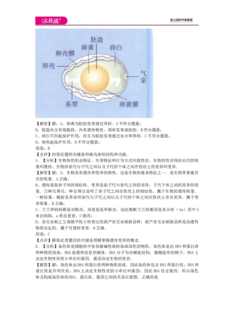 《生物八下人教版期末3卷-答案_初中全科目同步习题+精品试卷（7-9年级）(1)_25秋初中生物《同步习题+精品试卷》_初中生物试卷（人教版）_《同步试题》_同步试题资源包（8B）》第2页预览