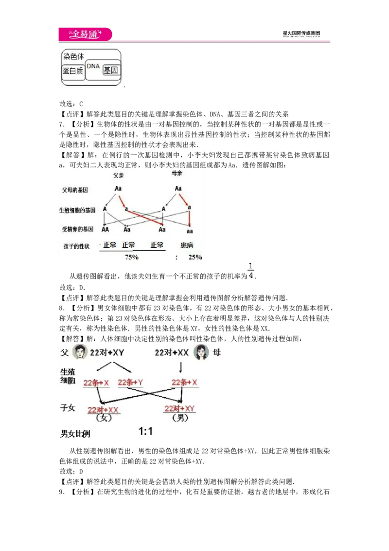 《生物八下人教版期末3卷-答案_初中全科目同步习题+精品试卷（7-9年级）(1)_25秋初中生物《同步习题+精品试卷》_初中生物试卷（人教版）_《同步试题》_同步试题资源包（8B）》第3页预览