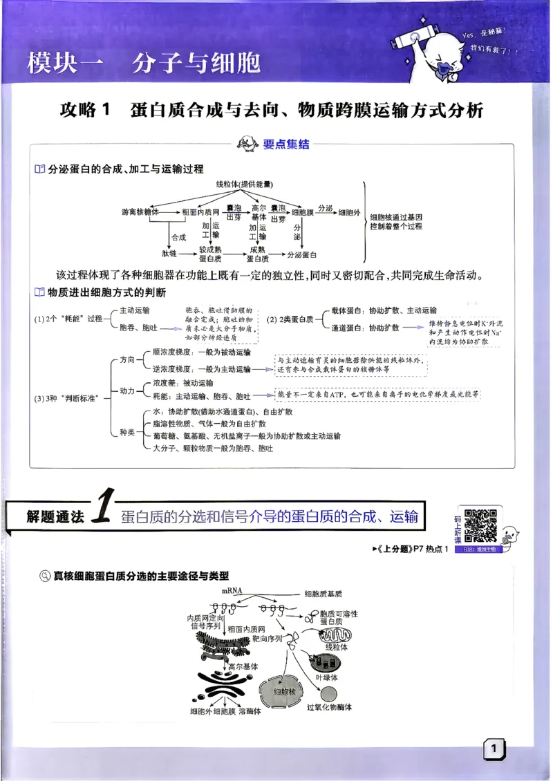 《生物上分攻略_小初高学习资料合集（每天更新）_2027版《高考上分攻略》数学+物理+生物+化学_2027版高中《必刷题》上分攻略（生物）》第8页预览