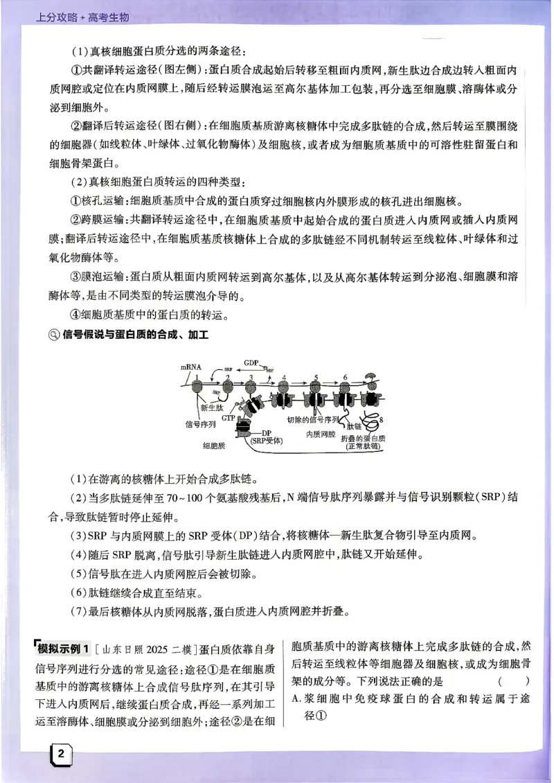《生物上分攻略_小初高学习资料合集（每天更新）_2027版《高考上分攻略》数学+物理+生物+化学_2027版高中《必刷题》上分攻略（生物）》第9页预览