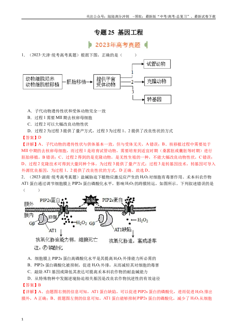《专题25基因工程（解析版）_06-生物-高考总复习_专项复习_2024年_2024年新高考生物复习热点考点真题模拟题必刷题练_资料》第1页预览