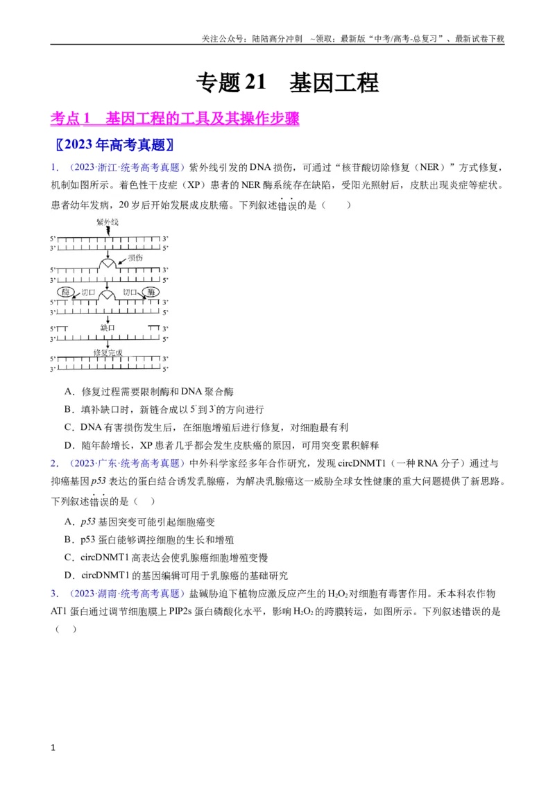 《专题21基因工程-五年（2019-2023）高考生物真题分项汇编（全国通用）（学生版）_06-生物-高考总复习_专项复习_2024年_2024年高考生物五年真题分项汇编（全国通用）》第1页预览