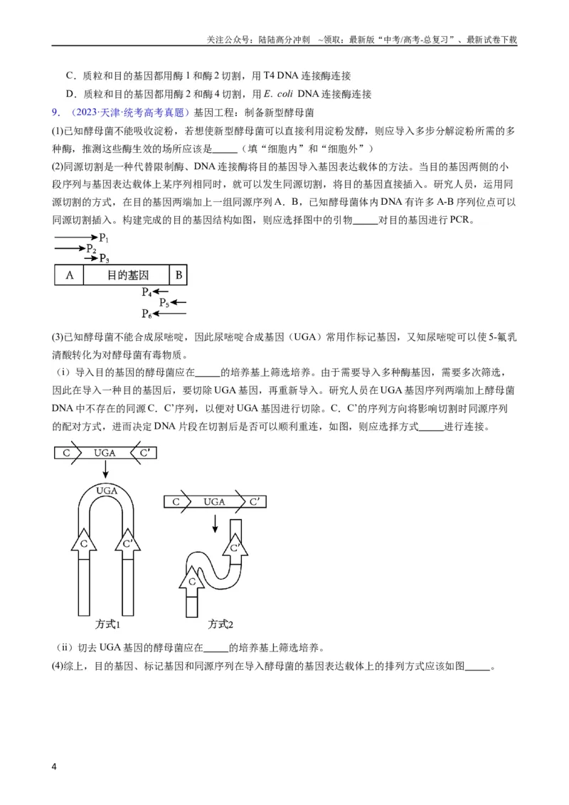 《专题21基因工程-五年（2019-2023）高考生物真题分项汇编（全国通用）（学生版）_06-生物-高考总复习_专项复习_2024年_2024年高考生物五年真题分项汇编（全国通用）》第4页预览