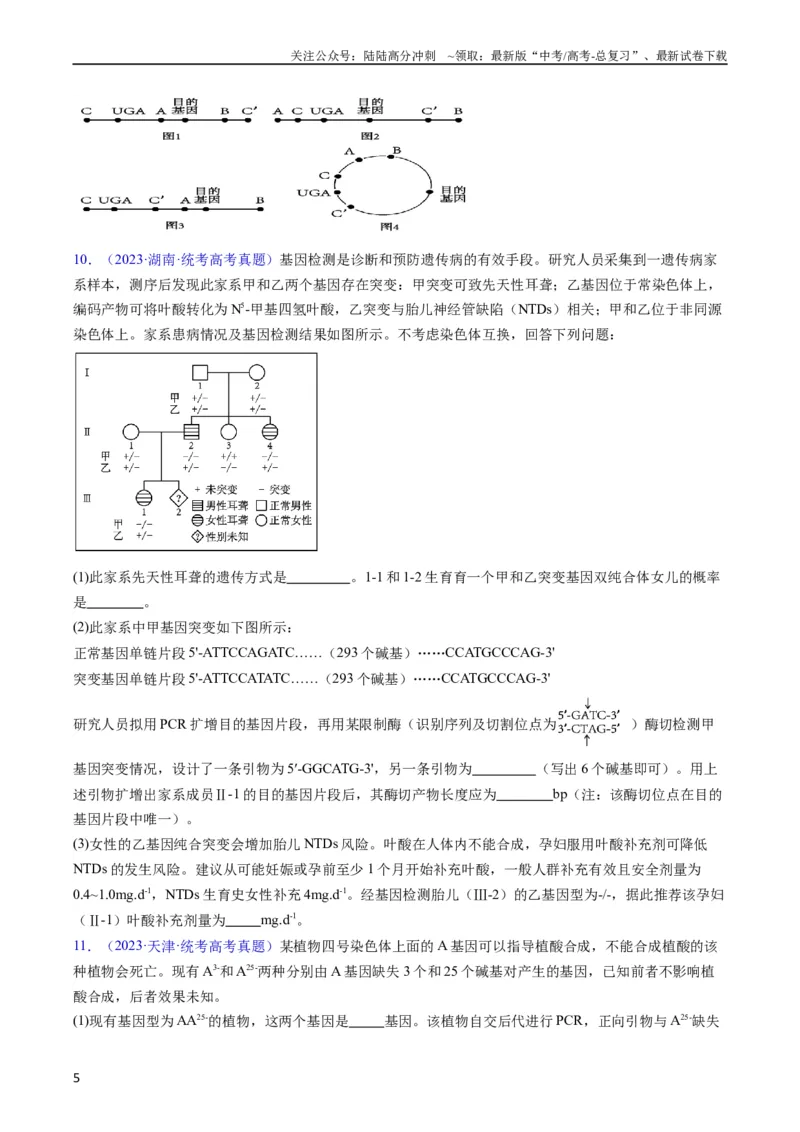 《专题21基因工程-五年（2019-2023）高考生物真题分项汇编（全国通用）（学生版）_06-生物-高考总复习_专项复习_2024年_2024年高考生物五年真题分项汇编（全国通用）》第5页预览