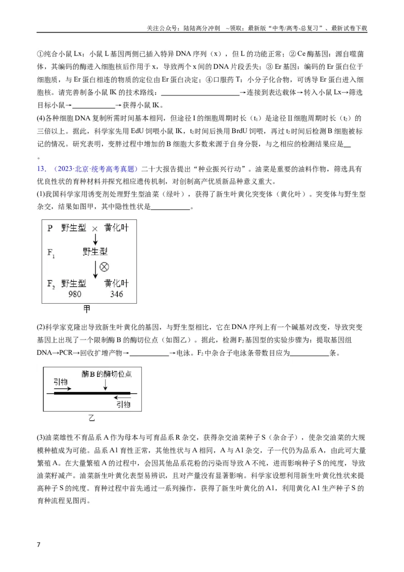 《专题21基因工程-五年（2019-2023）高考生物真题分项汇编（全国通用）（学生版）_06-生物-高考总复习_专项复习_2024年_2024年高考生物五年真题分项汇编（全国通用）》第7页预览