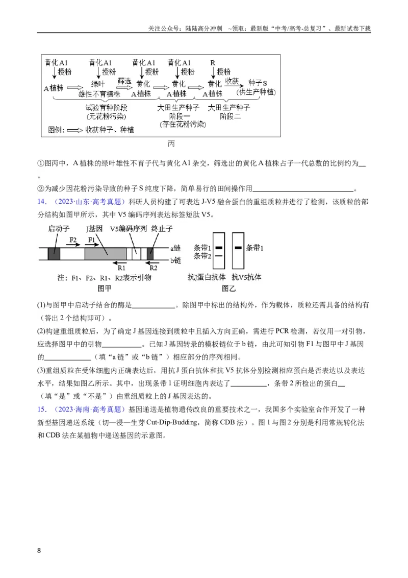 《专题21基因工程-五年（2019-2023）高考生物真题分项汇编（全国通用）（学生版）_06-生物-高考总复习_专项复习_2024年_2024年高考生物五年真题分项汇编（全国通用）》第8页预览