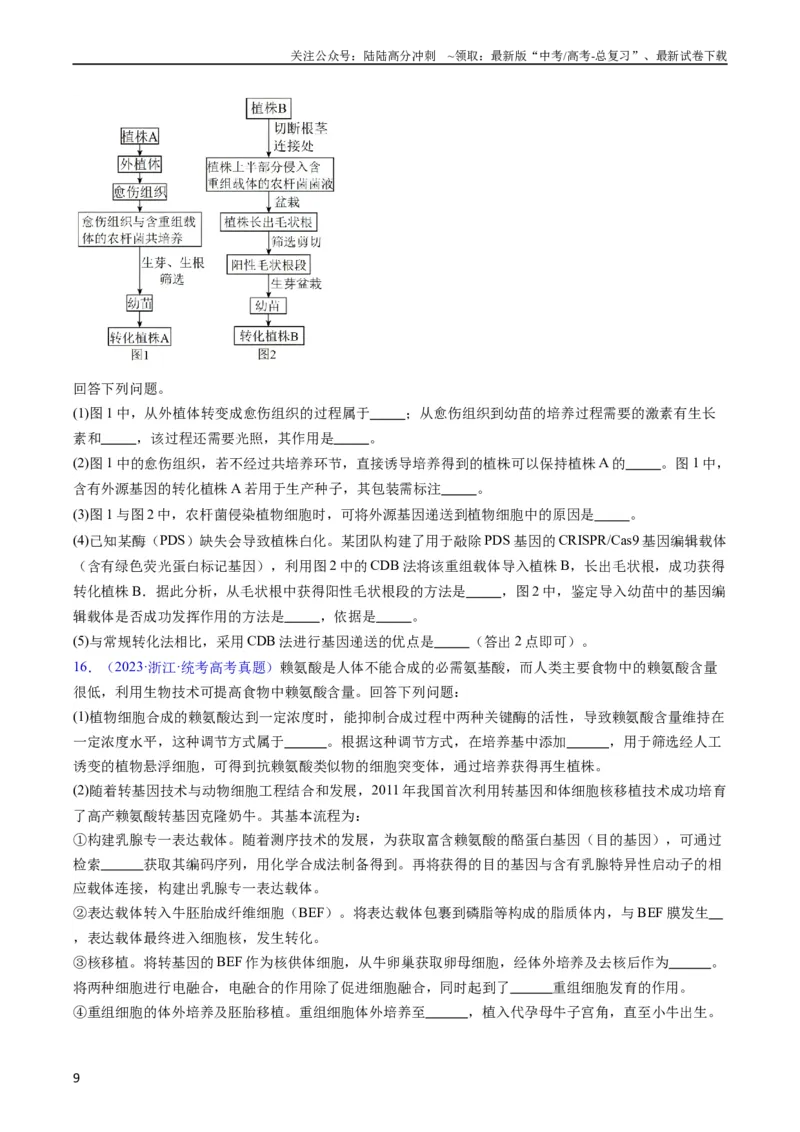 《专题21基因工程-五年（2019-2023）高考生物真题分项汇编（全国通用）（学生版）_06-生物-高考总复习_专项复习_2024年_2024年高考生物五年真题分项汇编（全国通用）》第9页预览