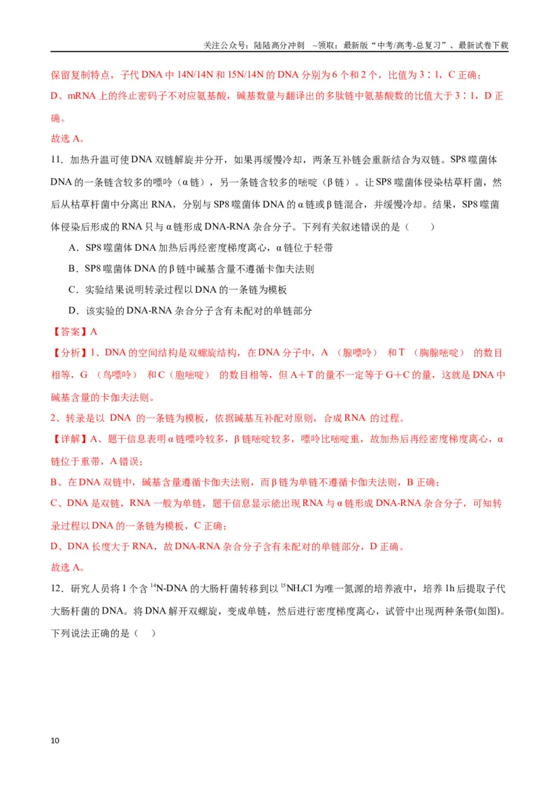 《专题21DNA分子的结构、复制与基因的本质（解析版)_06-生物-高考总复习_一轮复习_2024年_2024年高考生物一轮复习重难点专项突破_资料》第10页预览