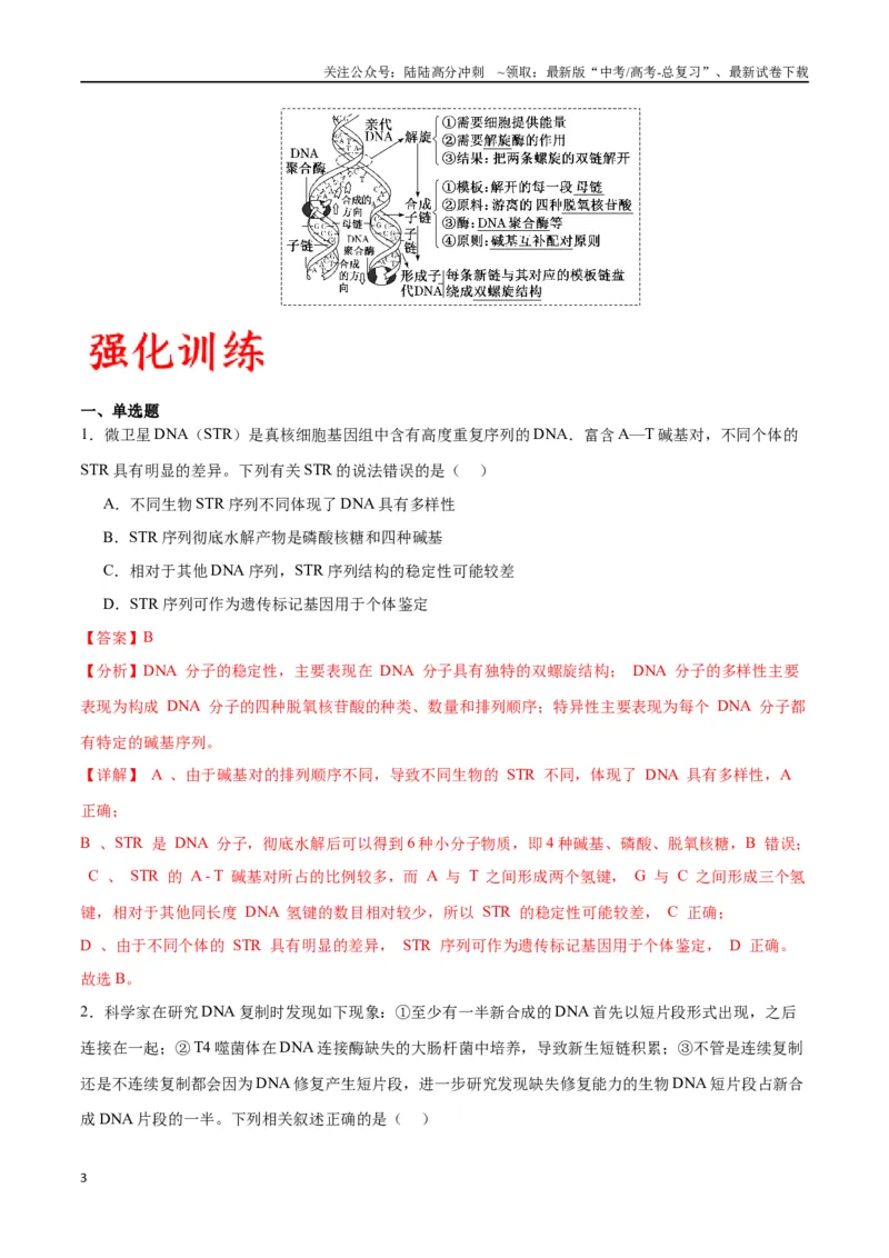 《专题21DNA分子的结构、复制与基因的本质（解析版)_06-生物-高考总复习_一轮复习_2024年_2024年高考生物一轮复习重难点专项突破_资料》第3页预览