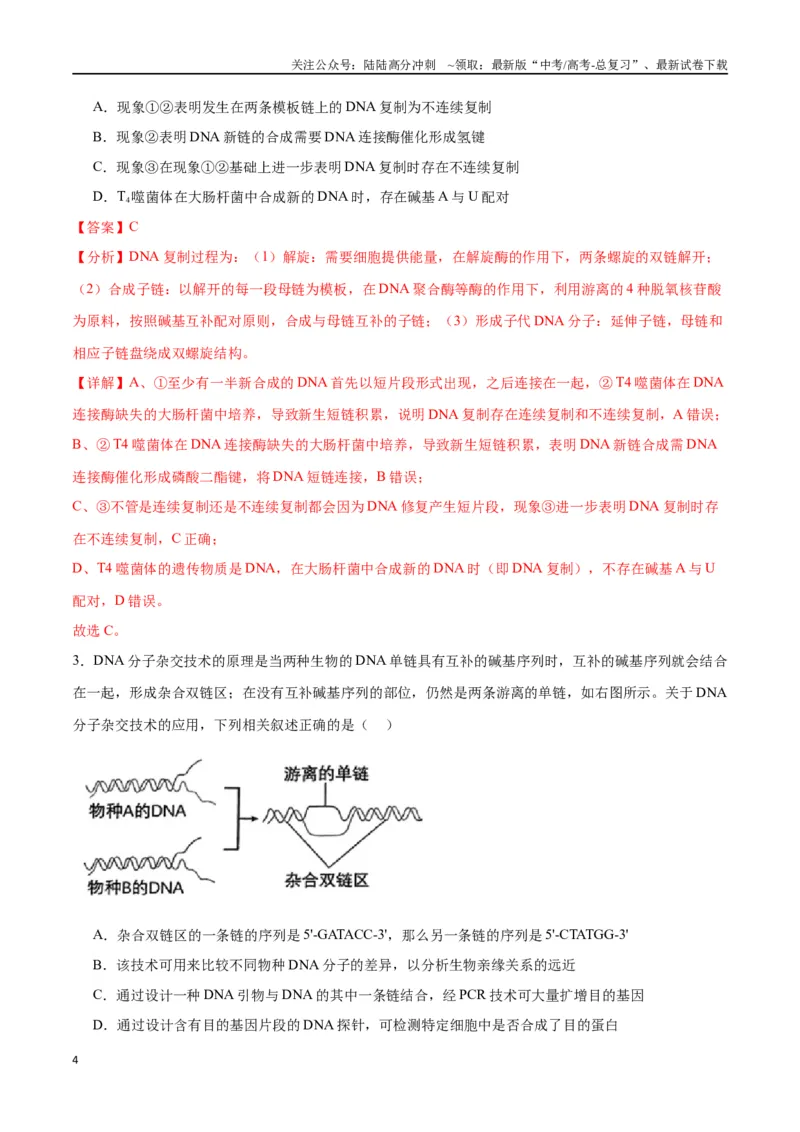 《专题21DNA分子的结构、复制与基因的本质（解析版)_06-生物-高考总复习_一轮复习_2024年_2024年高考生物一轮复习重难点专项突破_资料》第4页预览