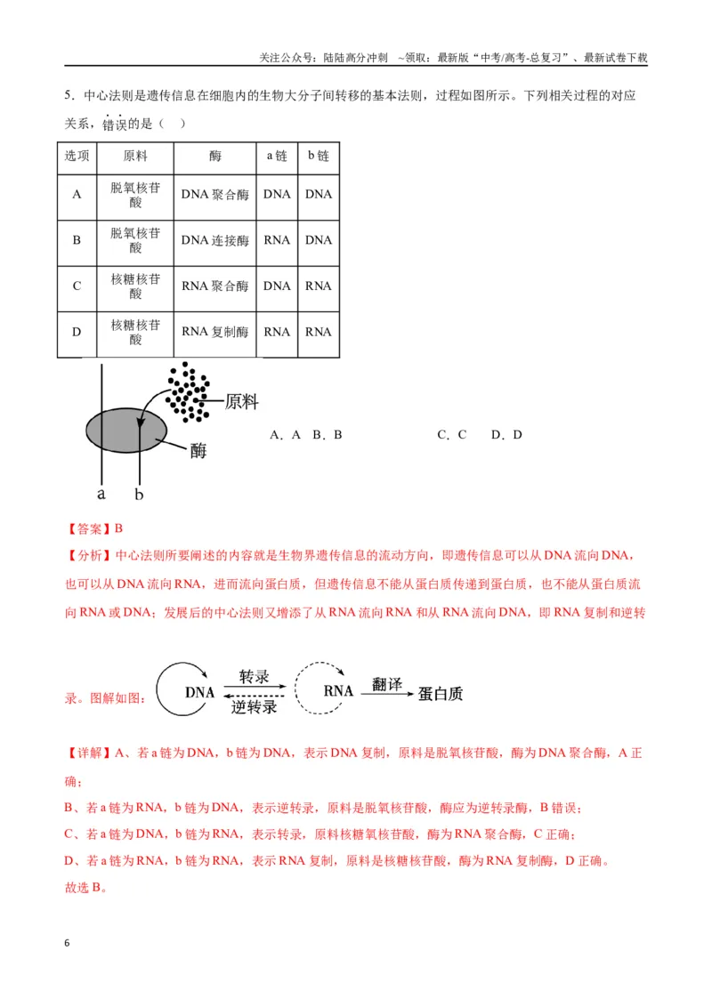 《专题21DNA分子的结构、复制与基因的本质（解析版)_06-生物-高考总复习_一轮复习_2024年_2024年高考生物一轮复习重难点专项突破_资料》第6页预览