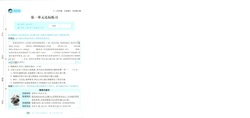 《试卷-A4_小初高学习资料合集（每天更新）_2026秋《53天天练》语文+数学+英语_语文《53天天练》26秋_2026秋《53天天练》语文5上主书+测评卷+课堂笔记+答案》第2页预览