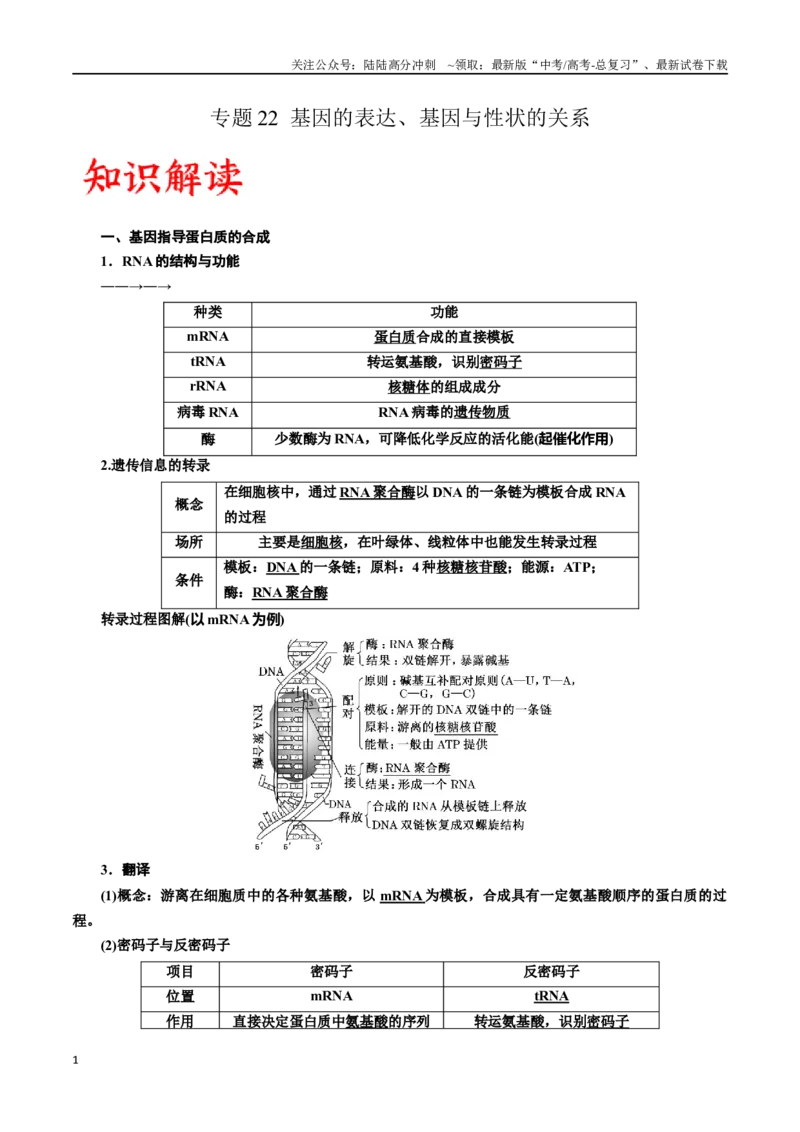 《专题22基因的表达、基因与性状的关系（解析版)_06-生物-高考总复习_一轮复习_2024年_2024年高考生物一轮复习重难点专项突破_资料》第1页预览