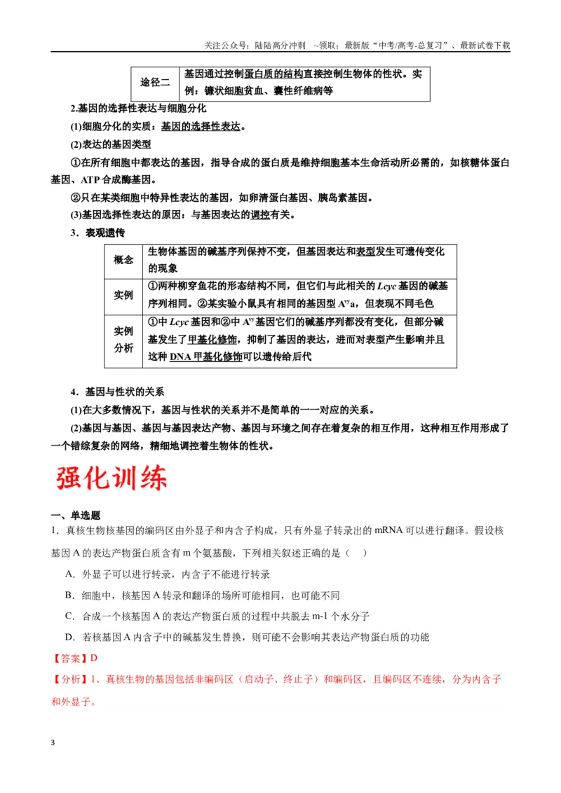 《专题22基因的表达、基因与性状的关系（解析版)_06-生物-高考总复习_一轮复习_2024年_2024年高考生物一轮复习重难点专项突破_资料》第3页预览