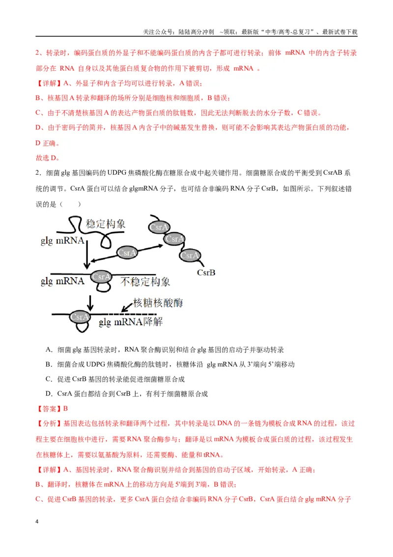 《专题22基因的表达、基因与性状的关系（解析版)_06-生物-高考总复习_一轮复习_2024年_2024年高考生物一轮复习重难点专项突破_资料》第4页预览