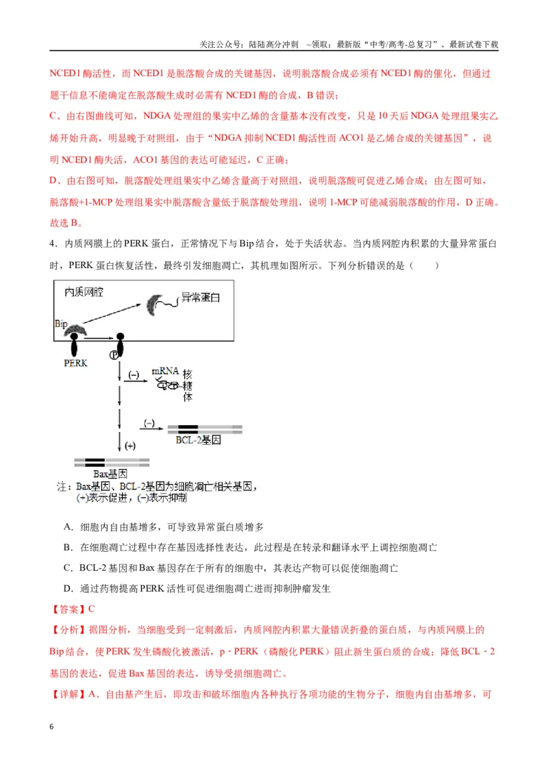 《专题22基因的表达、基因与性状的关系（解析版)_06-生物-高考总复习_一轮复习_2024年_2024年高考生物一轮复习重难点专项突破_资料》第6页预览